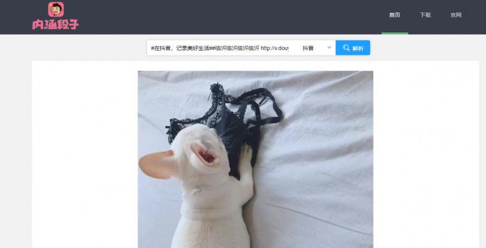 短视频无水印解析源码半开源分享-AI源码网