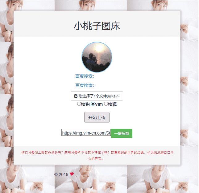 聚合图床程序源码 支持搜狗搜狐Vim图-AI源码网