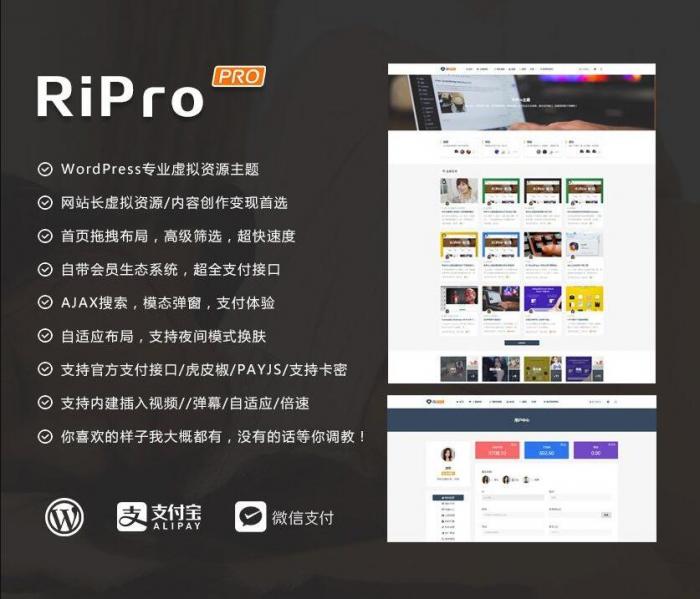 RIPro主题 v7.2 免授权修复后门完美版-AI源码网