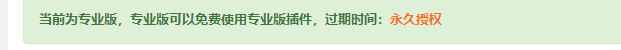 宝塔专业版JP脚本-AI源码网