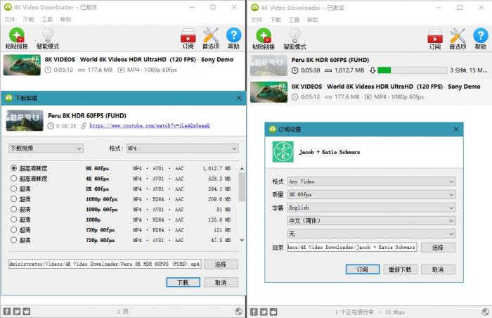 4K Video Downloader v4.15.0-AI源码网