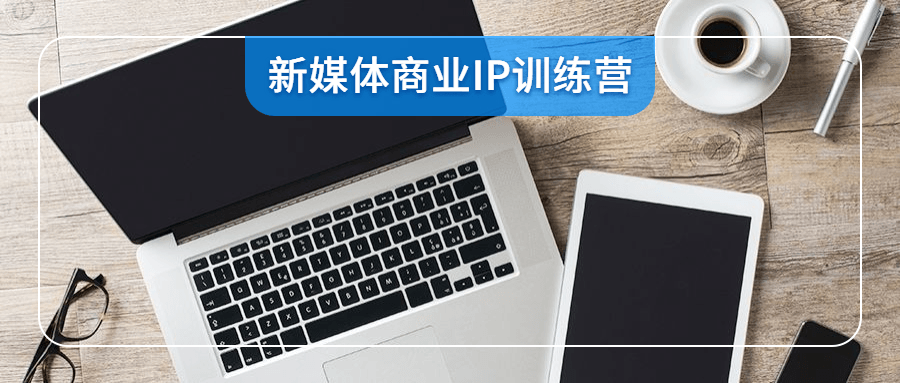 新媒体商业IP训练营视频-AI源码网