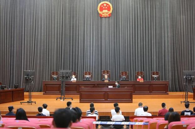 微信外挂软件“海贼王”团队被判刑10年-AI源码网