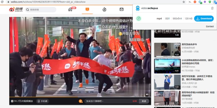 浏览器网页视频下载Video Octopus插件-AI源码网