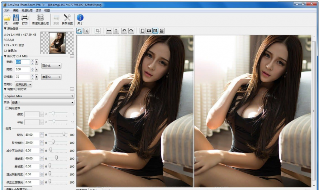 PhotoZoom破解专业版-图像无损放大工具-AI源码网