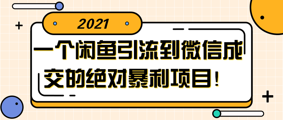 闲鱼引流到微信成交的绝对暴利项目！【视频教程】-AI源码网
